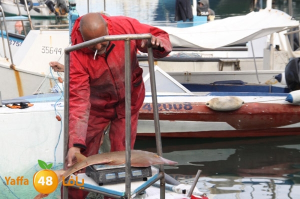 sayyadnewyaffa3 (44).JPG